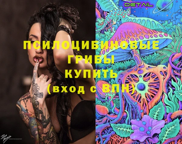 спиды Алзамай