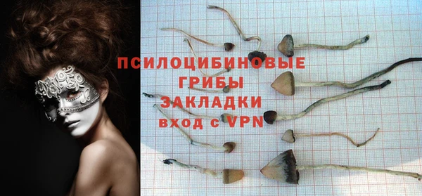 спиды Алзамай