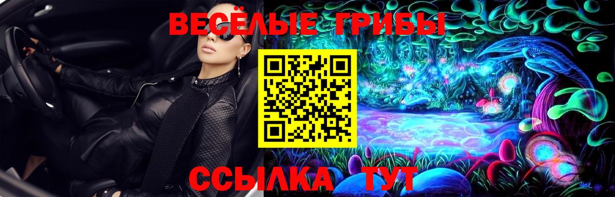 Петровск  Псилоцибиновые грибы мицелий  Вход с VPN 